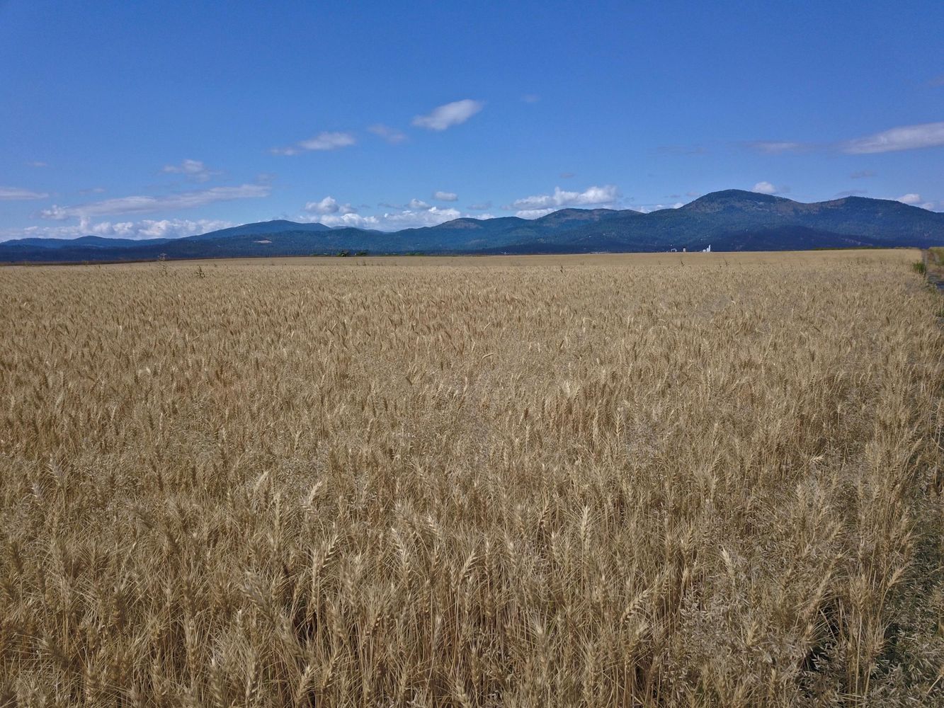 NW Corner Hayden Ave and HWY 41 North 1/2: NWC Hayden Ave & Hwy 41 North 1/2, Rathdrum, ID 83858